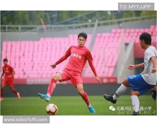 张卫足球：从草根到职业的奋斗历程与未来发展展望